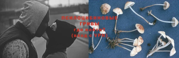 альфа пвп Карпинск