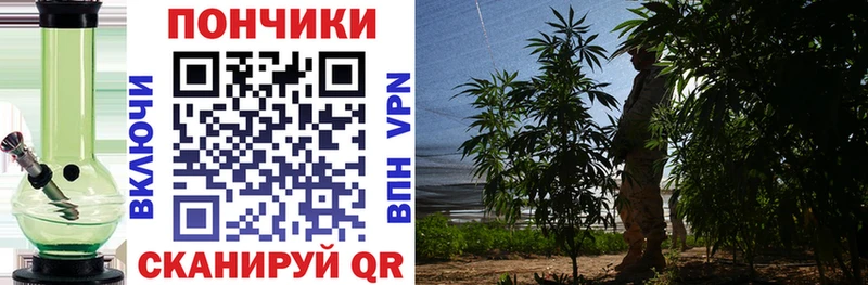 Купить где  Колпашево  Бошки Шишки конопля 